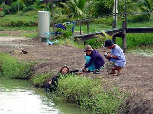 ฃ่าวด้วน2  ค้นพบเงือกสาว หน้าตาคล้ายประธานSFCรุ่น5