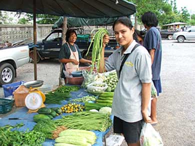 ที่หลังเพื่อนๆ จะทำแกงส้มกินกัน ผมแนะน้ำให้ไปซื้อผักก่อนครับ 
นึกแล้วมันเจ็บใจจริงๆ :laughing: :lau