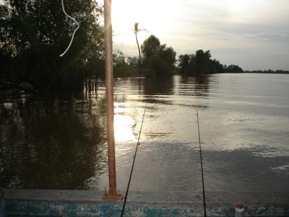 เราวิ่งเรือกันยาวจนเลยสะพานบางกระ