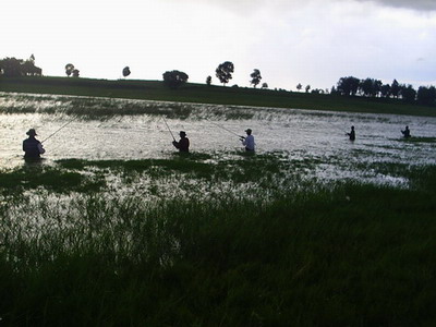 สังเกตุดูที่คลื่นน้ำนะครับ วันที่ไปลมแรงและฝนตั้งเค้ามา และสักพักก็ตก
ซึ่งก็แรงมาก และก็ที่สำคัญไม่