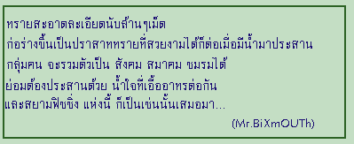 กิจกรรมของสมาชิกในชุมชนนักตกปลาสยามฟิชชิ่งคือ การออกตกปลา สมาชิกชุมชนฯ ส่วนใหญ่ชื่นชอบในการตกปลา โดย