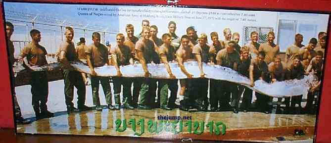 oarfish