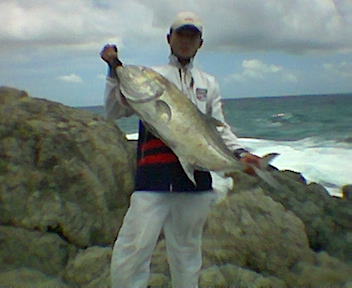 12.5 kg seagle rod & banax sx 5000 