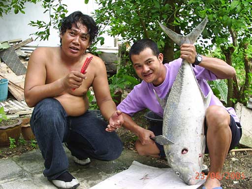 พนักงานชำแหละครับ โปรดสังเกตุ โปรตั้มนะครับ พุ....ง ย้อยเลย หม่ำมาหลายตัวแล้วนิ :laughing: :laughing