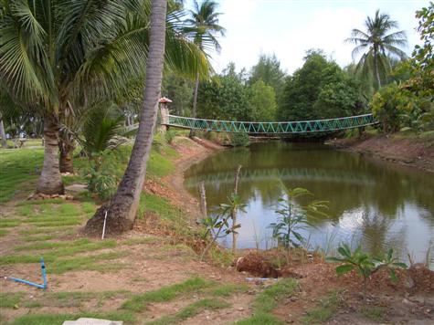 เจ้าคูน้ำรอบๆเรือนอาหารนี่เกือบทำให้ผมลืมจุดมุ่งหมายของทริปนี้ซ่ะแล้ว