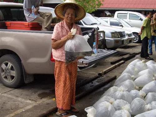 คุณยายท่านนี้เป็นแม่ค้าขายของอยู่