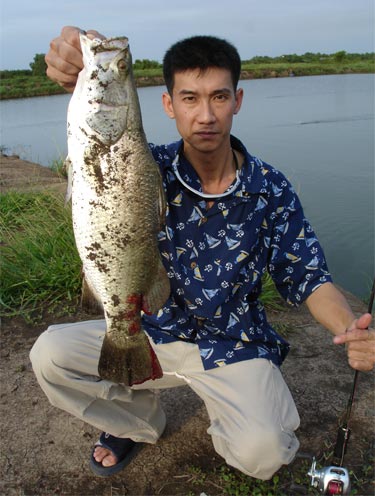 ปิดท้ายตัวที่สี่ของผมครับ  :laughing: :laughing: :