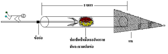 แต่ก่อนยังดูทรายฟุ้งที่ปากท่อไม่เป็น ก็เจอปลาปักเป้าส่วนมาก ให้ดันยังไงก็ไม่ออกครับ เพราะว่ามันมีหนา