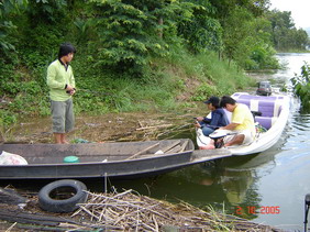 หาทีตกกันตามข้างตลิ่ง ที่มีขอนไม้ ปลาหมอจะชอบอยู่