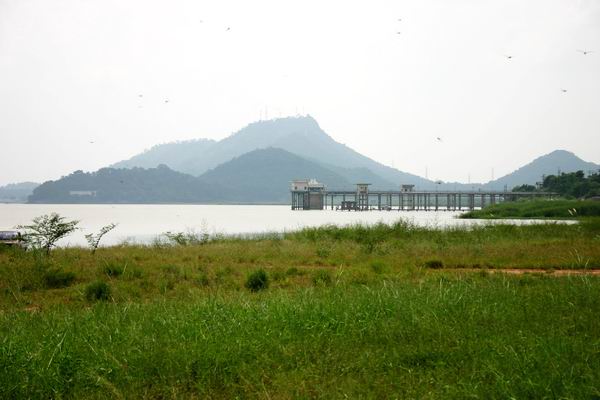 แวะเยี่ยม "น้าควรที่บางพระ"