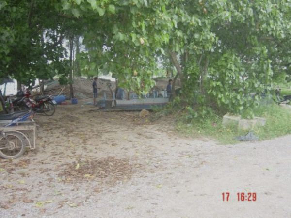 น้าช้าง หลังบ้านผม 1
