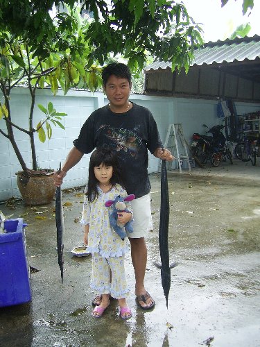 เอามาอวดลูกสาว