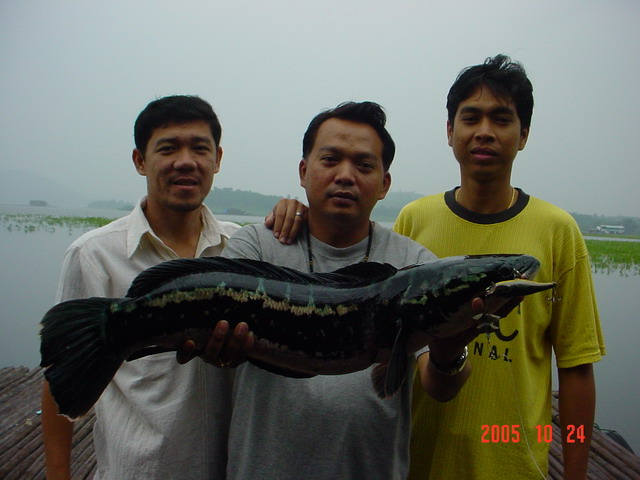 ทริปวันหยุด(วันปิยะ)