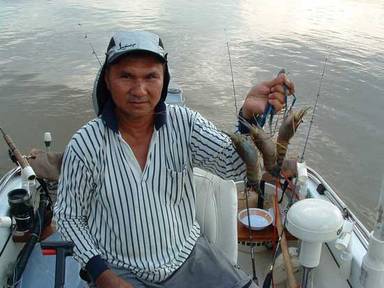 นี่เลยครับ ตัวจริงของน้าชาวเรือ หน้าตาแบบนี้ครับ อิ๊ ๆๆๆ