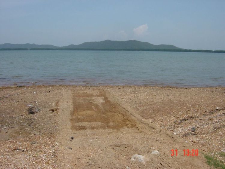 ไปสำรวจที่เอาเรืองลง 
คุ้มกระเบน 1
