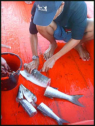 ลุงกุ้งนอกจากตกปลาสากเก่งแล้ว ยังทำปลาสากเก่งอีกด้วย...

เหมาะสมที่สุดแล้วที่จะมาเป็นอาจานสอนตกปลา
