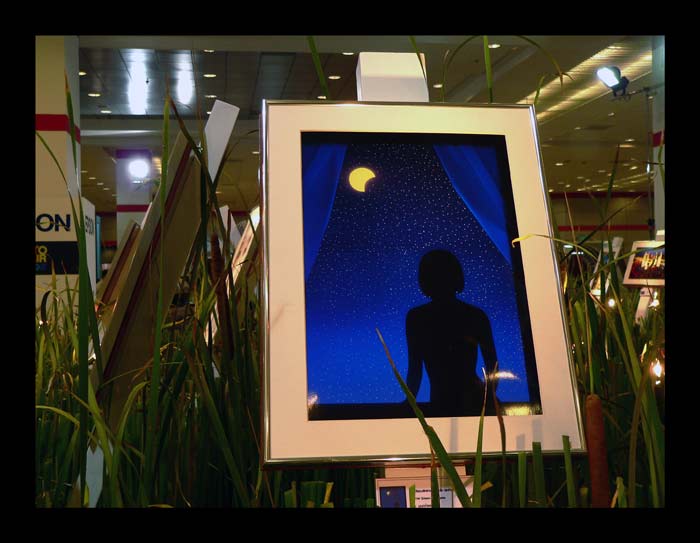 ...เป็นภาพที่ชนะเลิศในประเภทต่างๆขอ