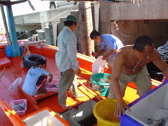 
               ถึงท่าเรือแหลมงอบประมาณ บ่ายโมง ผมต้องรีบกลับกรุงเทพฯก่อน  ที่เหลือเลยปล่อยให้เป็นห
