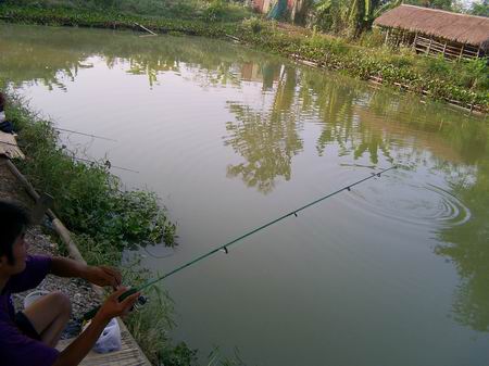 ระหว่านถ่ายรูปเล่น
ปลาดันกิน เลยวั