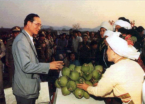 "ฉันทนได้"

ในเดือนหนึ่งของปี 2528 พระทนต์องค์หนึ่งของพระบาทสมเด็จพระเจ้าอยู่หัวหักเฉียดโพรงประสาท