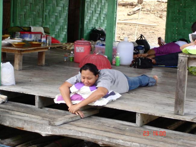 ฮิปโปฯ ประจำสยามฯ... :laughing: :laughing:
             ดูท่านอนบิดขี้เกียจจิ อืดเชียว....  :laughi