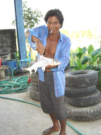  ประกาศจับ...............
..ฝรั่งเรือโป๊ะชื่อ 