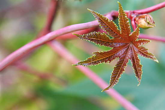 28-75mm (in 75mm range), f/5 :smile: