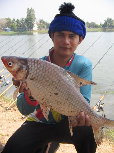 โชว์ตัวกันหน่อยตัวนี้ตัวเมียแน่ๆเลยตัวสั้นเชียว