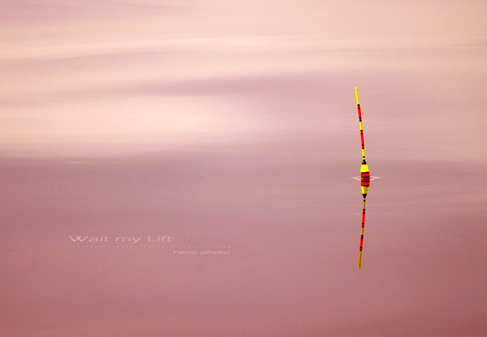 ถ่ายนกก็ต้องมาตกปลา หน้าบ้านต่อ 

**** ข้อมูลภาพ f 2.8 s 1/60 iso 100 