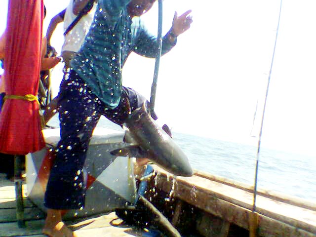 บังหมาน..กับ..ช่อนเล ลดๆๆร้อนๆที่ระนอง..กองหน้าบ้านมันสุดๆๆ6500prorocket..สาย 15 lb ..มันสุดๆๆๆๆๆๆๆ
