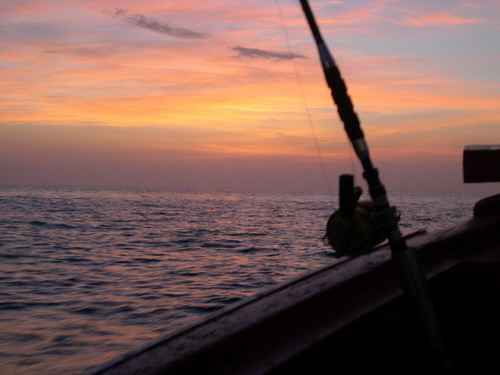 จนกระทั่งเช้า   แสงรุ่งอรุณ  สวยงาม  บาดตา   ไปนอนต่อดีกว่า
วิ่งเรือกลับอีก  8  ชม.