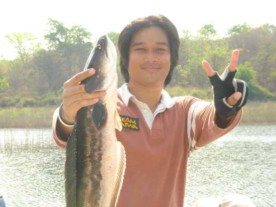 น้องพลุ๊คขอ 2 (ที)
 :laughing: :laughing: :laughing: :laughing: :laughing