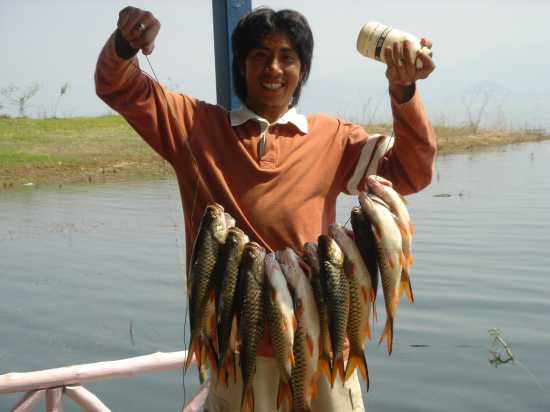 น้าหมึก......เห็นเรือพวกผมไหมครับ
 :laughing: