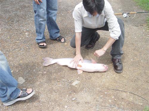 น้า กิลด์ แก บอก มา พัก ผ่อน อย่า เครียด ม่าย ได้ ปลา อย่า เครียด  :ohh: :laughing: :laughing: