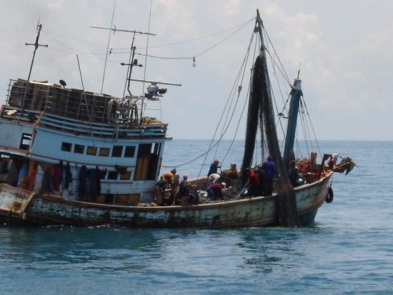 เรือลำนี้เป็นเรืออวนลากเจ้าของเดียวกับเรือที่พาเราไปท่องเที่ยวตกปลา และเป็นเรืออวนลากที่คอยป้อนอาหรา