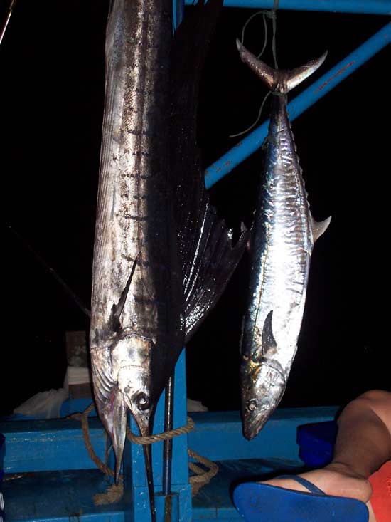 แล้วเราก็กลับสู้ท่าเรือทัพละมุรอพ