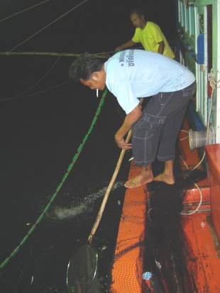 ...นอนหลับหัวเรืออยู่เพลิน ๆ ก้อมีคนมาเอาสวิงเปียกๆ เค็มๆ..
มาโดนขาน้ามาดซะงั้น...วุ้ย..เค้าครอบหมึ