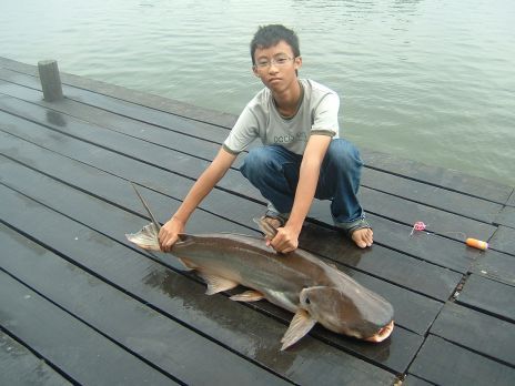 ชื่อ ตอง
login skelton_minnow
เกิด 25 กันยายน 2534
ที่