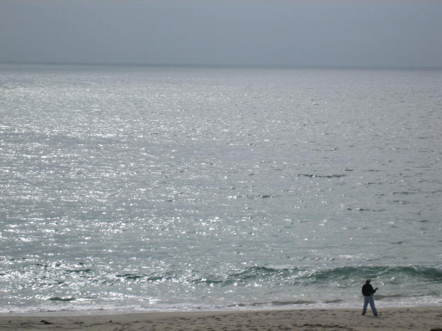 Pasific Ocean คับ ถ้าดูตรงแผนที่โลก ก็ซ้ายสุดของเมกาอะคับ ถ่ายที่ Redondo Beach ใน Losangeles คับ :b
