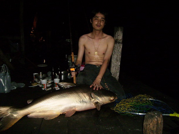 ตัวนี้ป่ะ น้ากอล์ฟ  ของฝากของผมน่ะ  :laughing:

