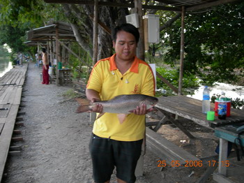 ตัวนี้กินลูกโดดตีชิดฝั่ง
กะลังเย่
