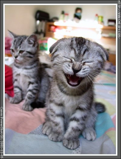 
กลับมาอ่านก็ยังขำอยู่  :laughing: :laughing: :laughing: :laughing: