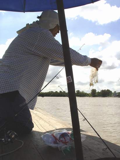 สู้ได้ซักพักก็เอาขึ้นมาบนเรือครับ ไม่ใช่ปลาแต่เป้นถุงพลาสติกคร๊าบบบ  :laughing: :laughing: :laughing