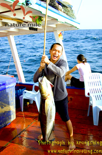 ทริปนี้สมหวัง ตกได้ปลาตัวใหญ่เท่าคน
