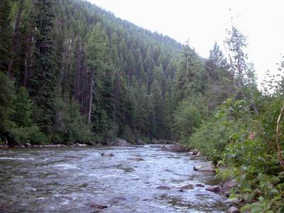 A nice fly-fishing stream next to our camp site. 