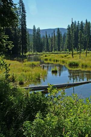 The scenery at Manning Park was breath-taking