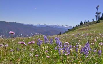 The scenery at Manning Park was breath-taking