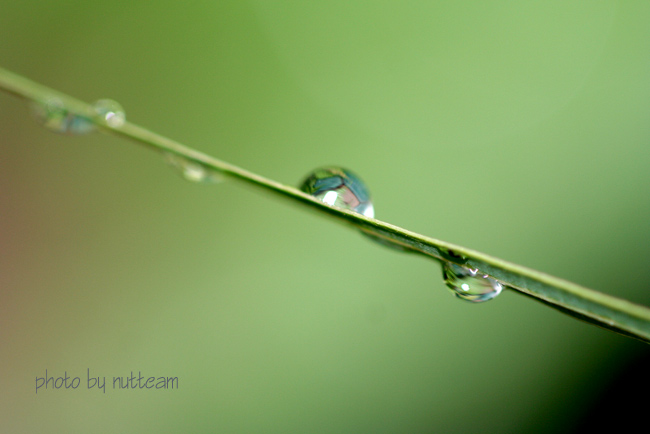 ทำไมถึงถ่ายรูปได้เบรอขนาดนี้เนี่ย สงสัยจริงๆ