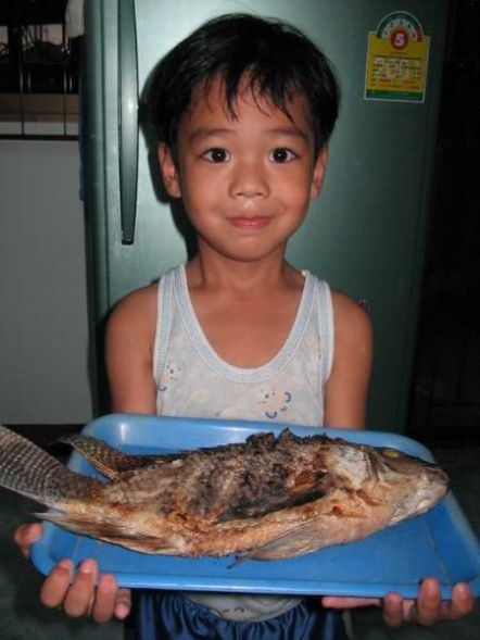 ปลานิล เผาเกลือทั้งเกล็ด ของเจ้าตัวน้อย  น้าๆหม่ำกับผมไหมฮับ :love: :umh: