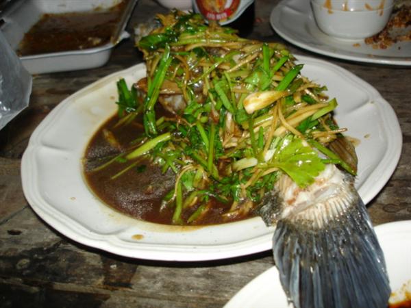 ตบตรูดด้วยเจ้านี่.... เอ ปลารัย ละนี่... หันหน้ามาดิ๊... :laughing: :laughing: